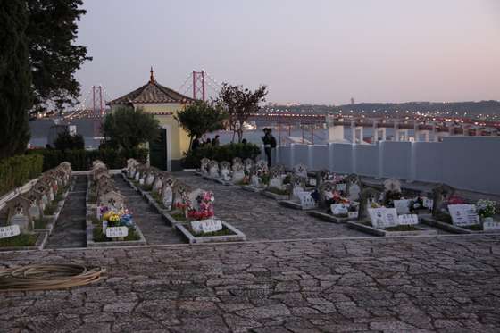 visitas noturnas prazeres 1