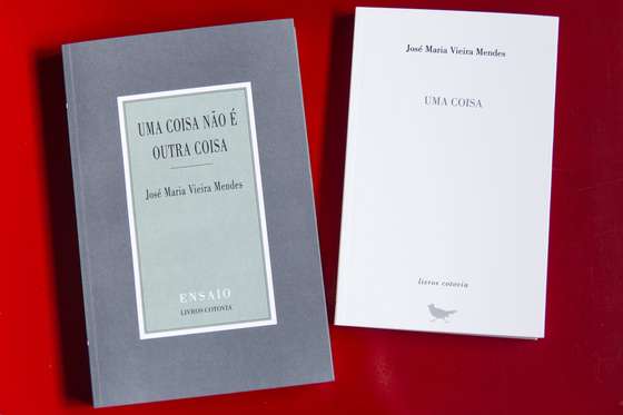 escritor, teatro, pe&Atilde;&sect;as, ensaios, ensaio, jos&Atilde;&copy; maria vieira mendes, entrevista, 2016, livros, livro, uma coisa, uma coisa n&Atilde;&pound;o &Atilde;&copy; outra coisa, livros cotovia