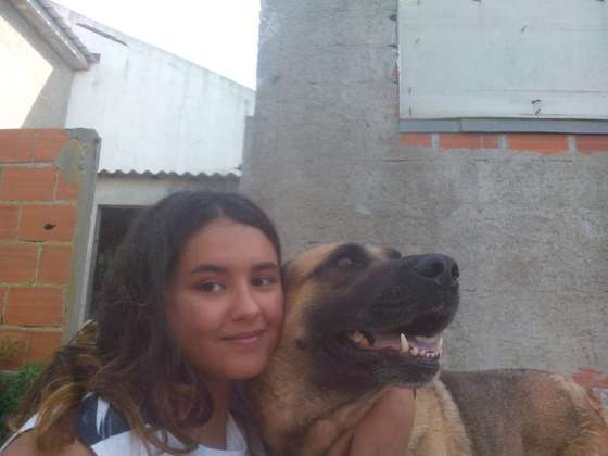 ligia