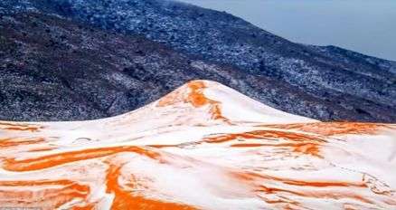 sahhhara snow