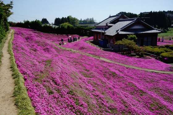 japan