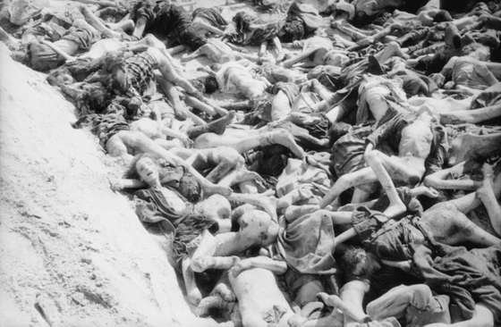 Eines_von_3_Massengr&Atilde;&curren;bern_in_Bergen-Belsen,_so_wie_es_von_den_Befreiern_vorgefunden_wurde,_1945