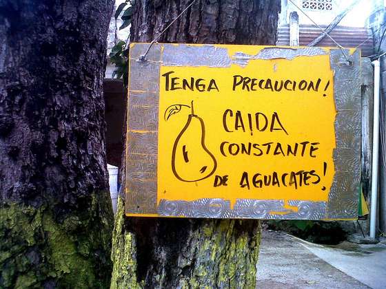 abacatees