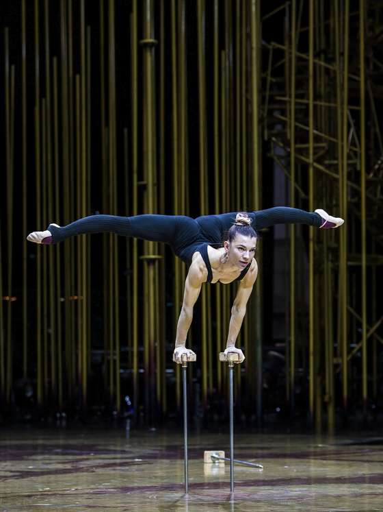 varekai, cirque du soleil, 