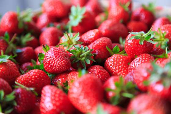 Vibrant Color, Healthy Eating, Large Group of Objects, Dieting, Gourmet, Beauty In Nature, Organic, Frame, Dessert, Strawberry, Berry Fruit, Refreshment, Healthy Lifestyle, Backgrounds, Freshness, Bright, Red, Green Color, Pattern, Nature, Macro, Fruit, Leaf, Ripe, Summer, Sweet Food, Food, 