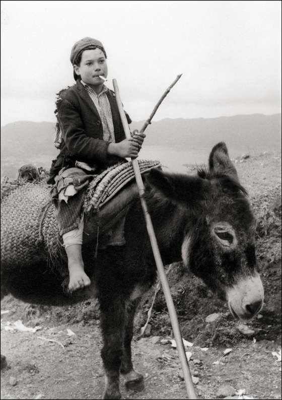 Smoking On His Donkey