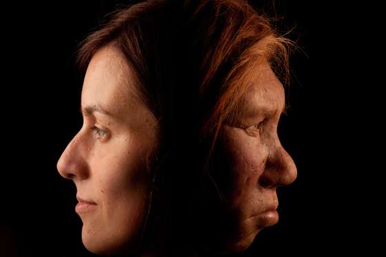 Neanderthal Female