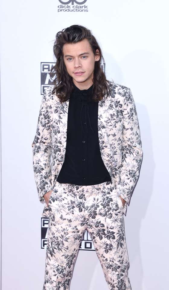 2015 American Music Awards - Arrivals