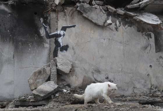 A cat walks past a mural depicting a gymnast and attributed to British street artist Banksy, at a wall of a building that was destroyed during shelling in Borodyanka, Ukraine, 13 November 2022. A photo of the gymnast mural in Borodyanka was shared by Banksy on his social media channel on 11 November, while other works attributed to him in different locations in Ukraine and resembling Banksy's style have not been shared on the artist's channel yet. Russian troops entered Ukraine on 24 February 2022, starting a conflict that has provoked destruction and a humanitarian crisis. EPA/SERGEY DOLZHENKO
