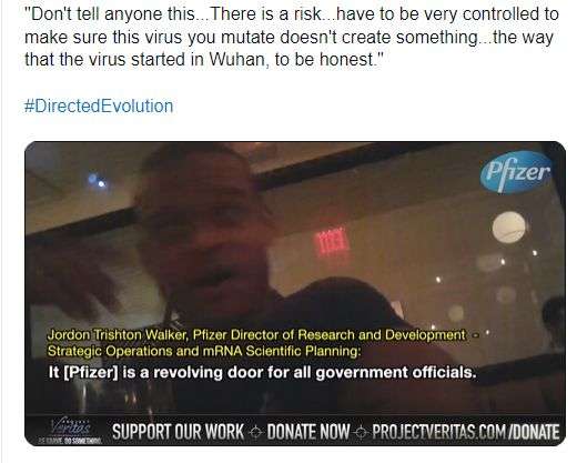 Informa&Atilde;&sect;&Atilde;&pound;o falsa sobre diretor da Pfizer
