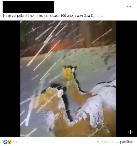 NevÃ£o na ArÃ¡bia Saudita