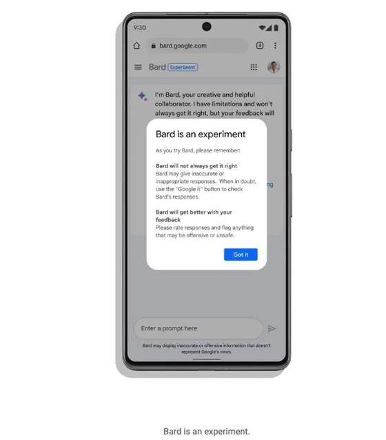 Bard, Google, experiÃªncia