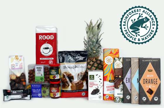 Log&Atilde;&sup3;tipo Rainforest Alliance