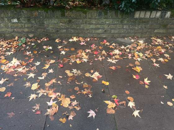 Autumn in London