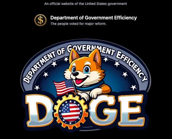P&Atilde;&iexcl;gina online do Departamento de Efici&Atilde;&ordf;ncia Governamental (DOGE), liderado por Elon Musk.