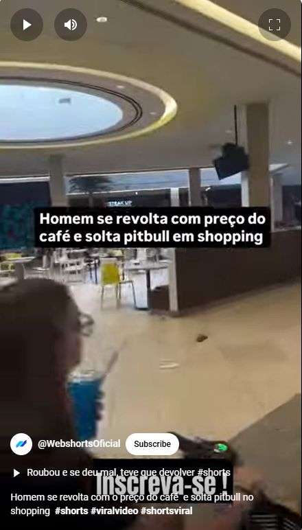 V&Atilde;&shy;deo de Youtube alega que uma multid&Atilde;&pound;o foge de um centro comercial por causa de um c&Atilde;&pound;o perigoso.