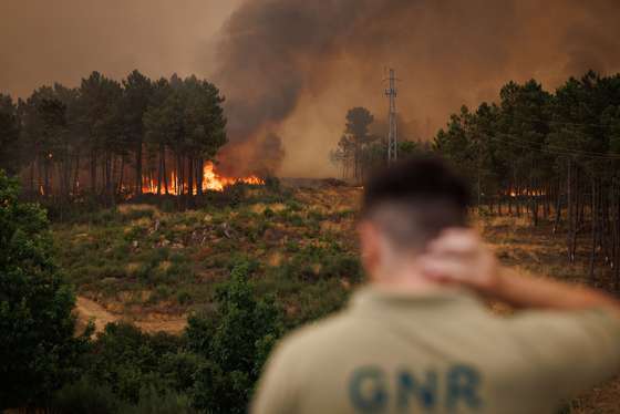 Um agente da GNR observa as chamas durante um inc&Atilde;&ordf;ndio em S&Atilde;&pound;o Martinho da Anta, concelho de Sabrosa, Vila Real, 2 de agosto de 2025. O fogo que come&Atilde;&sect;ou em S&Atilde;&pound;o Cibr&Atilde;&pound;o, Vila Real, alastrou para o concelho de Sabrosa, onde lavra em duas frentes com alguma intensidade e mobiliza cerca de 240 operacionais. PEDRO SARMENTO COSTA/LUSA
