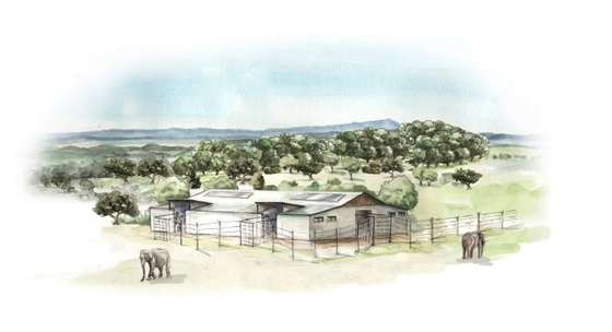 Desenho das estruturas j&Atilde;&iexcl; em constru&Atilde;&sect;&Atilde;&pound;o para o santu&Atilde;&iexcl;rio para elefantes reformados no Alentejo