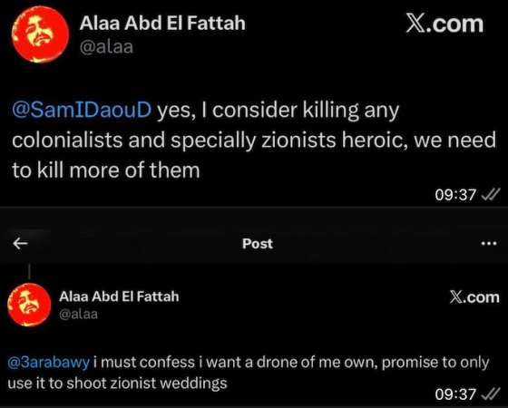 Social media posts allegedly written by Alaa Abd el-Fattah 