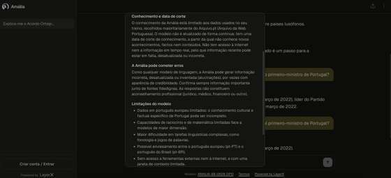 Chatbot Am&Atilde;&iexcl;lia, vers&Atilde;&pound;o desenvolvida pela LayerX