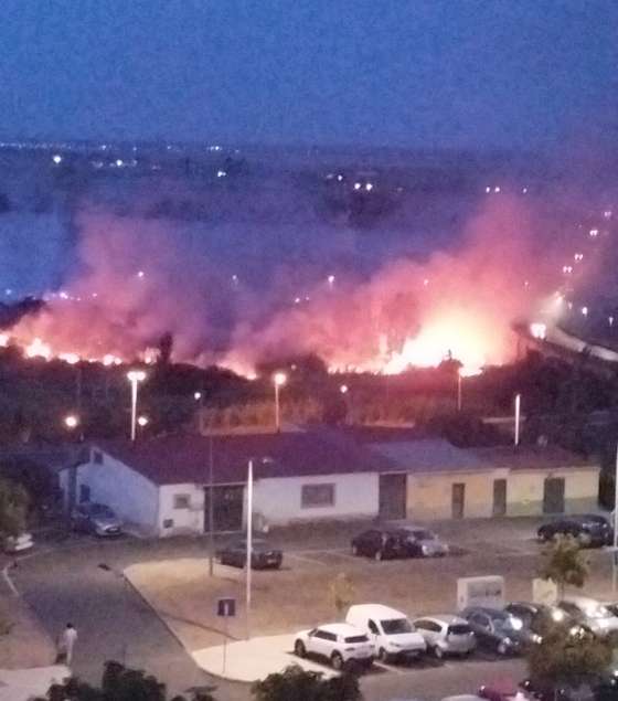 fogo vila franca de xira 2 de agosto