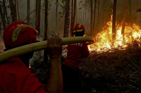 Sociedade, Acidentes e Desastres, Meteo, Ambiente, Inc&Atilde;&ordf;ndios, Organiza&Atilde;&sect;&Atilde;&micro;es de socorro