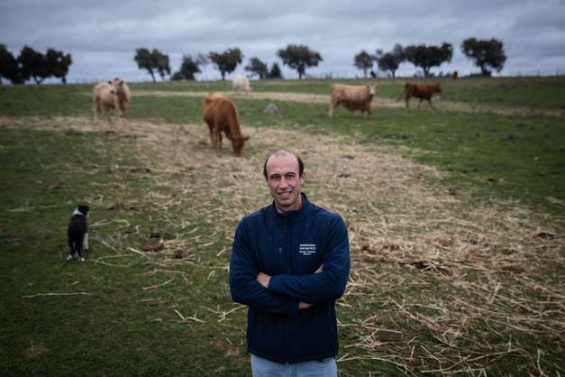 eportagem sobre a falta de mão de obra no sétor da agricultura/pecuária: João Ganhão, produtor de gado Angus. Sousel, Portalegre 10 de Dezembro de 2021 TOMÁS SILVA/OBSERVADOR