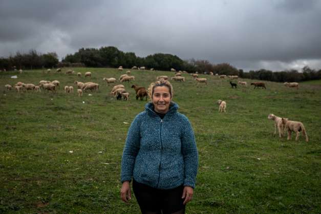 Reportagem sobre a falta de mão de obra no sétor da agricultura/pecuária: Albertina, ovinocultora e também dona de um olival. Sousel, Portalegre 10 de Dezembro de 2021 TOMÁS SILVA/OBSERVADOR
