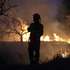 Um bombeiro comabte o incêndio florestal que começou em Ervedal da Beira, Oliveira do Hospital, mas passou para Caldas da Felgueira, no concelho de Nelas, em Viseu, 19 de setembro de 2025. O fogo que lavra desde a tarde de hoje em Oliveira do Hospital, no distrito de Coimbra, obrigou à retirada de mais de duas dezenas de pessoas das suas casas. PAULO NOVAIS/LUSA
