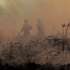 Elementos da Unidade de Emergência de Proteção e Socorro (UEPS) da GNR combatem o incêndio florestal que deflagrou ao início da tarde na zona de Eirol/Eixo, no concelho de Aveiro, e obrigou ao corte da Autoestrada do Norte (A1), em Aveiro, 18 de setembro de 2026. PAULO NOVAIS/LUSA