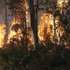 Bombeiros combatem o incêndio florestal que deflagrou ao início da tarde na zona de Eirol/Eixo, no concelho de Aveiro, e obrigou ao corte da Autoestrada do Norte (A1), em Aveiro, 18 de setembro de 2026. PAULO NOVAIS/LUSA