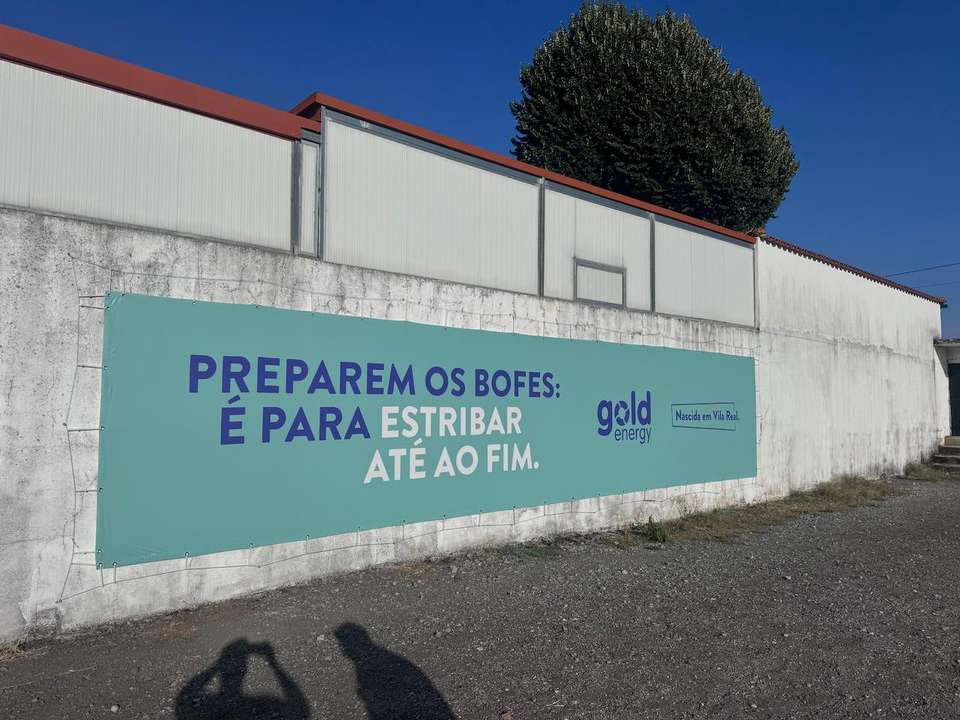 campanha no estádio