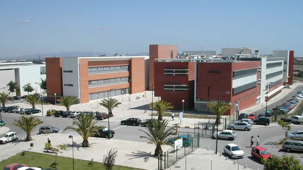 Os projetos foram distinguidos na 13.ª edição do Programa de Empreendedorismo da Faculdade de Ciências e Tecnologia da Universidade Nova de Lisboa