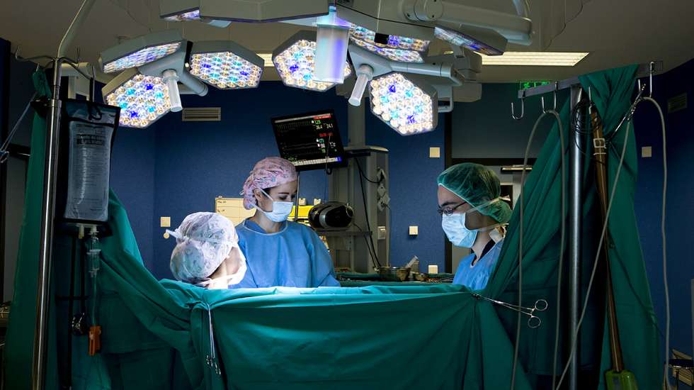 Transplante