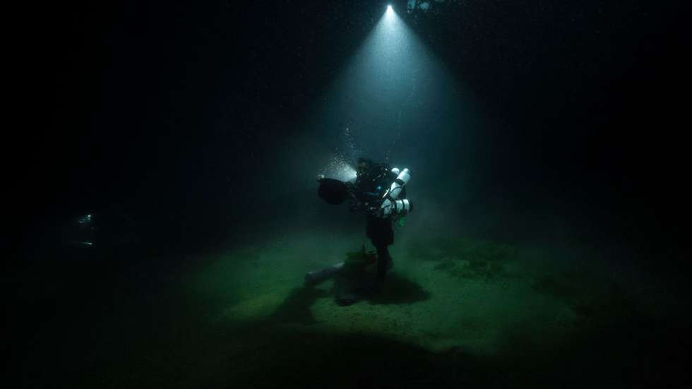 Biologist diver at work