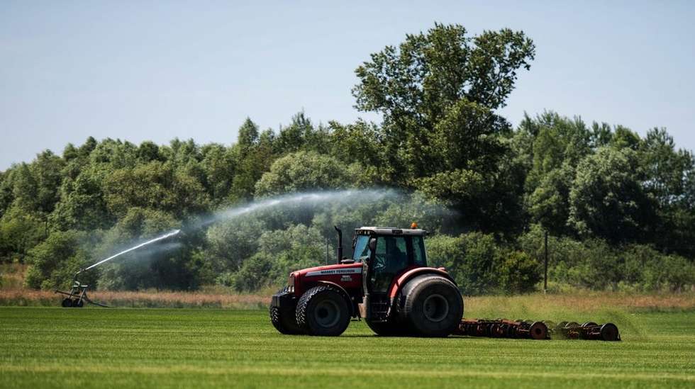 Os agricultores têm até esta segunda-feira para apresentar a sua candidatura ao Pedido Único (PU) 2025, sem penalizações, após o Governo ter alargado o prazo.