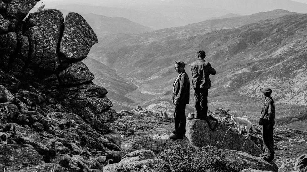 O curador, galerista e fotógrafo João Miguel Barros caracteriza Dias Martins como "um autodidacta de vistas apuradas", "mestre de si mesmo" naqueles anos 1950 em que o país foi visitado e fotografado por um número invulgar de grandes mestres do ofício