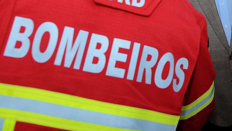 No terreno estiveram 15 bombeiros auxiliados por cinco veículos, bem como a GNR de Penafiel e o Serviço Municipal da Proteção Civil