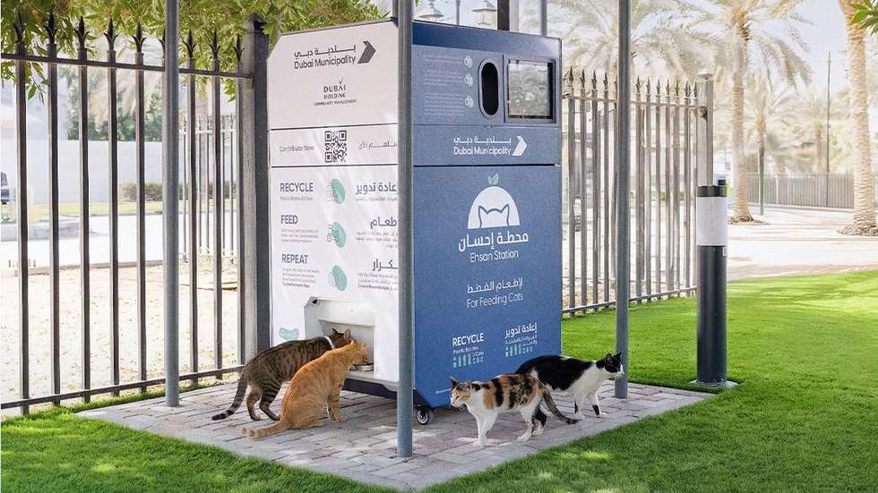 Dubai Municipality