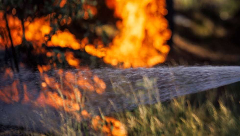 Um bombeiro combate um incêndio em Sabrosa, Vila Real, 16 de julho de 2025. O vento forte e irregular que provoca várias projeções está a dificultar o combate ao incêndio que lavra em Souto Maior, Sabrosa, e que pelas 20:30 mobilizava 292 operacionais, 88 meios terrestres e 7 meios aéreos, segundo a página da ANEPC - Autoridade Nacional de Emergência e Proteção Civil. PEDRO SARMENTO COSTA/LUSA