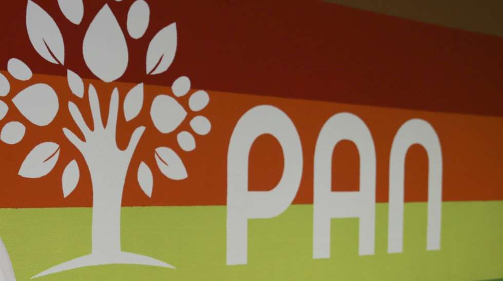 O porta-voz do Partido-Animais-Natureza (PAN), André Silva, fala à Agência Lusa na sede daquele partido, em Lisboa, 1 de junho de 2021. (ACOMPANHA TEXTO DE 3 DE JUNHO DE 2021)    MANUEL DE ALMEIDA/LUSA