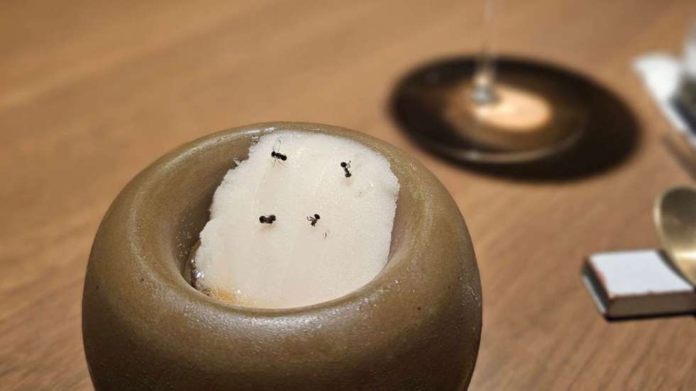 Os insetos eram colocados sobre um tipo de gelado servido no menu degustação do restaurante
