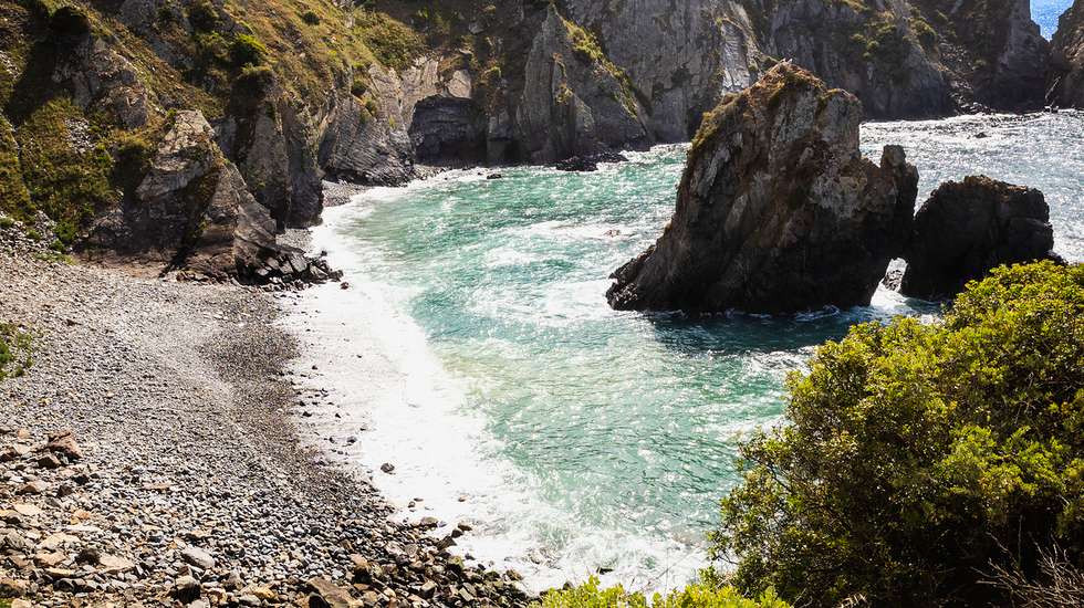 Com o aumento de eventos extremos "crescem os desafios associados a grandes variações de salinidade nos estuários tanto para a biodiversidade como para as populações e economia local"