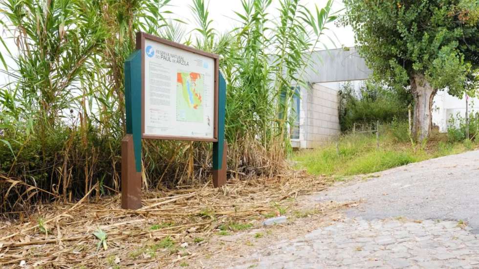 "A aprovação destas candidaturas traduz o reconhecimento da relevância estratégica das intervenções propostas para a valorização da Reserva Natural do Paul de Arzila e para o reforço das condições de apoio à conservação da natureza"