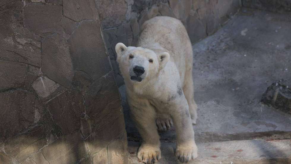 zoo de Mykolaiv