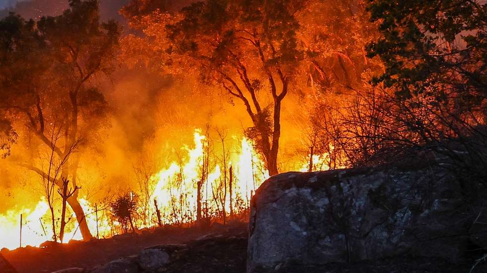 Um bombeiro combate incêndio florestal
