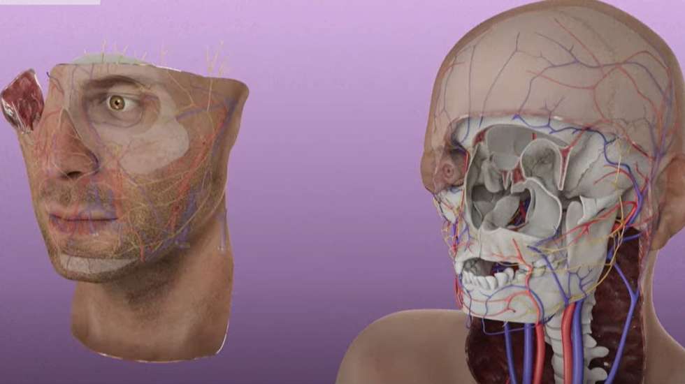 Cirurgiões dos EUA realizam primeiro transplante completo de olho do mundo