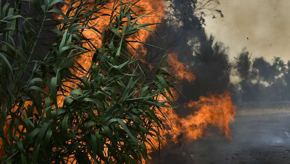 Um bombeiro protege-se do fogo durante o incêndio florestal em Andrinos, às portas da cidade de Leiria, 13 de julho de 2022. Dezasseis dos 18 distritos de Portugal continental estão hoje sob aviso vermelho, o mais grave, devido ao tempo quente, com mais de uma centena de concelhos em perigo máximo de incêndio rural. NUNO ANDRÉ FERREIRA/LUSA