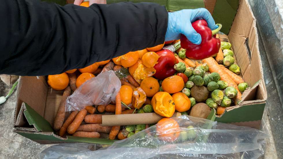 De acordo com a Too Good to Go, nem todos os consumidores planeiam as compras: 22% dos cidadãos não usa listas, 31% compra por impulso e 60% adquirem produtos "por precaução"