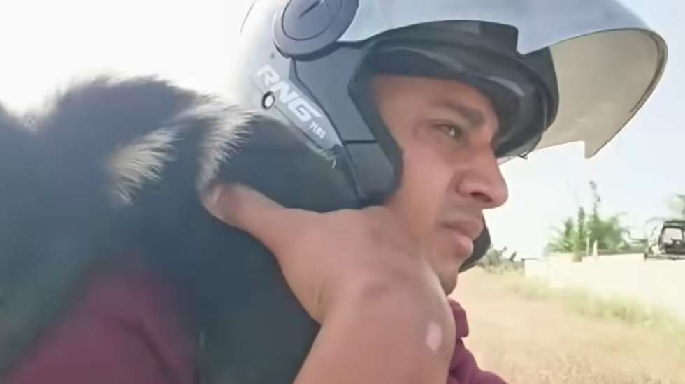 Ayoub Ben Nesnes publicou um vídeo para demonstrar que não foi responsável pela morte do cão